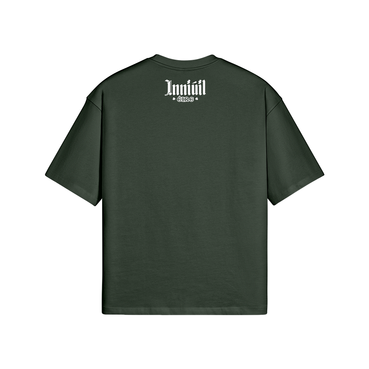 NO SNAKES IN IRELAND